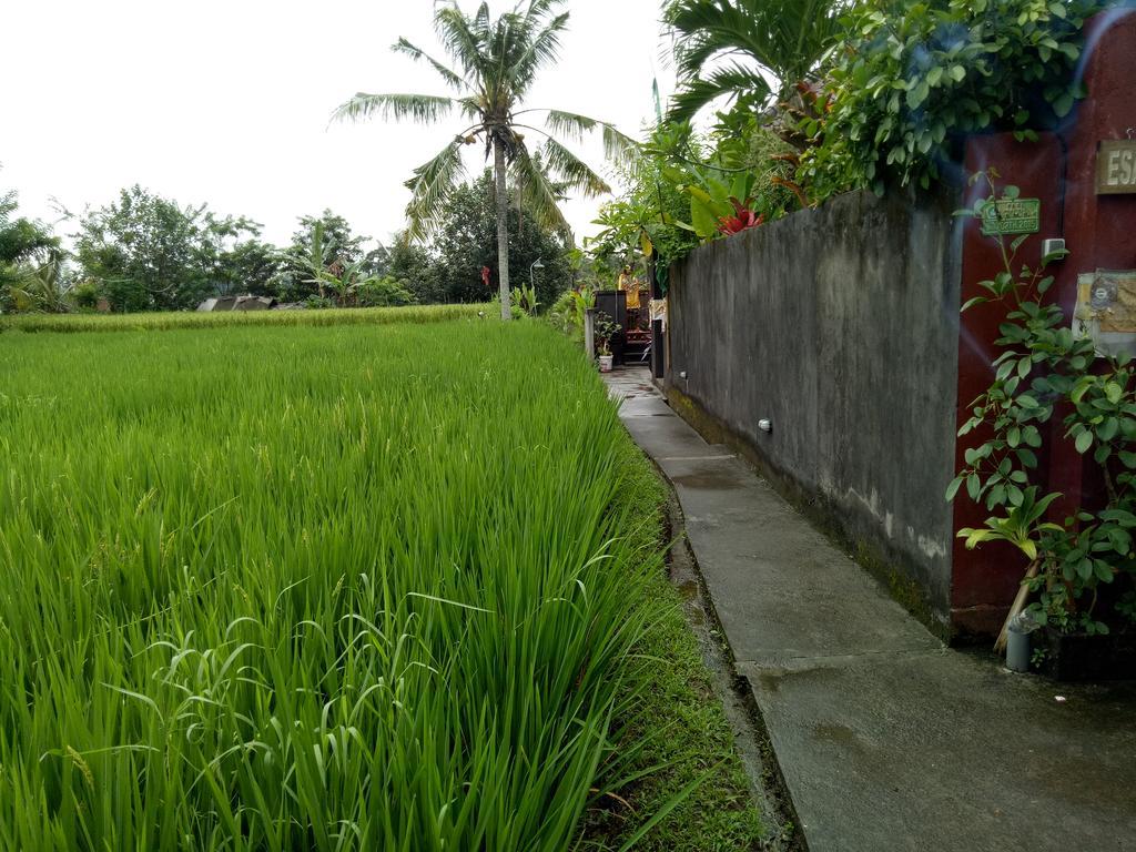 Villa Esa Ubud Buitenkant foto